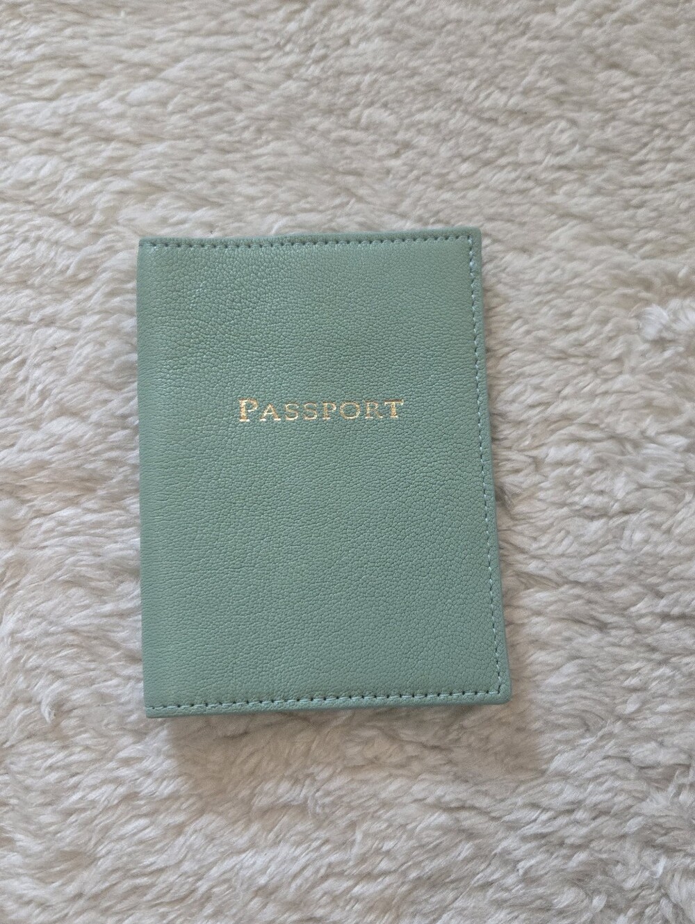 Graphic Image Robin's Egg Blue Luxury Goatskin Leather Passport Holder